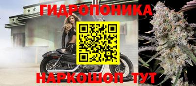 МДМА Новодвинск